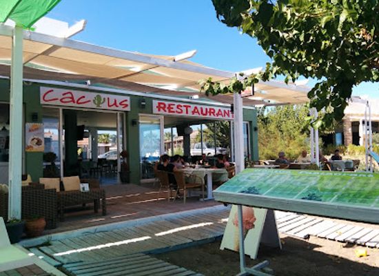 greece/rhodes/faliraki/restaurant/cactus-restaurant-faliraki