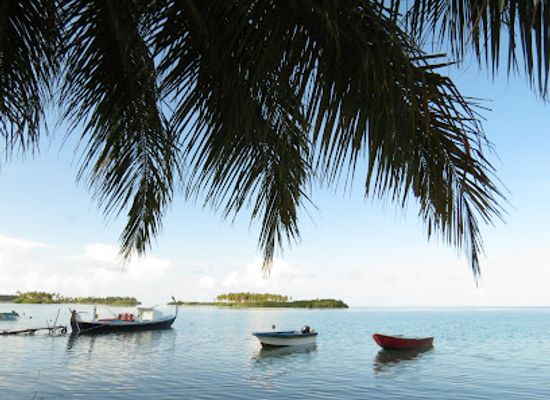 maldives/addu-city/restaurant/royal-plus
