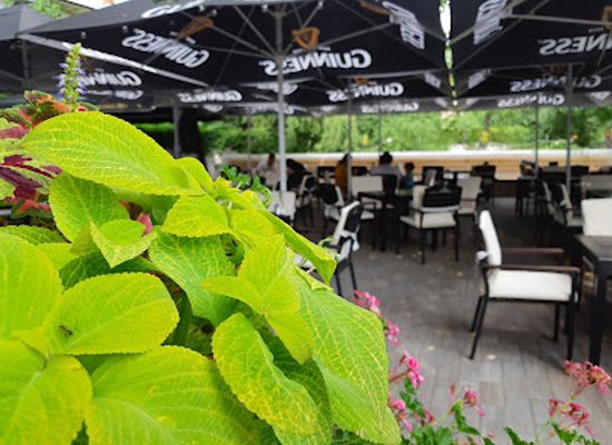 romania/prahova-valley/restaurant/tres-olivos