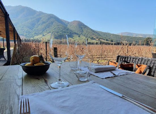 chile/colchagua-valley/restaurant/fuegos-de-apalta