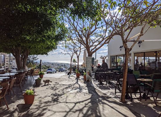 cyprus/paphos-forest/restaurant/christos-grill-and-seafood