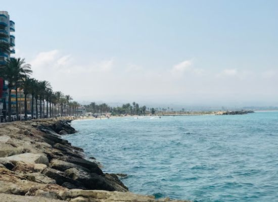 lebanon/tyre-coast/restaurant/marjouha