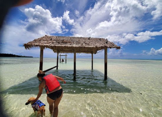 guam/cocos-island/restaurant/bikini-island-club