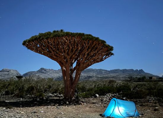 yemen/socotra-archipelago/restaurant/socotra-specialty-tours