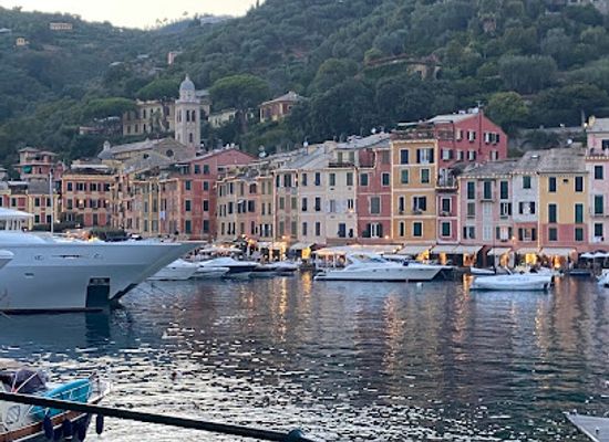 italy/portofino/restaurant/pescefino