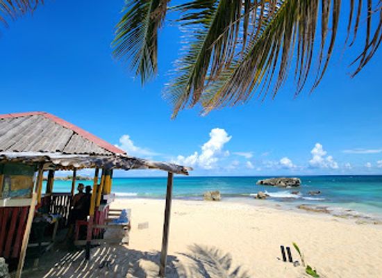 jamaica/port-antonio-area/restaurant/cool-vibz