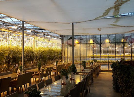 iceland/southern-region/restaurant/frioheimar