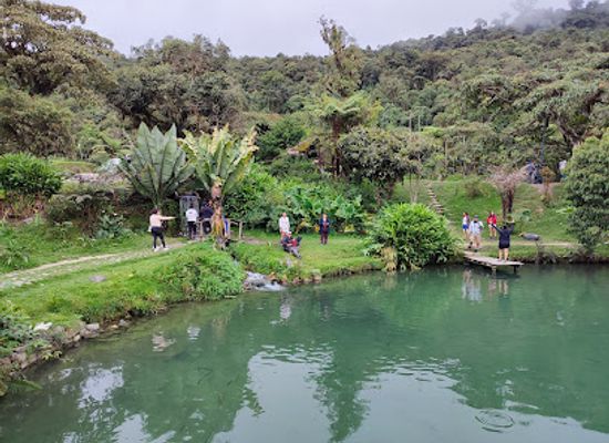 bolivia/yungas/restaurant/centro-turistico-la-trucha-del-paraiso