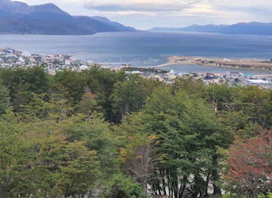 argentina/tierra-del-fuego-national-park/restaurant/le-martial