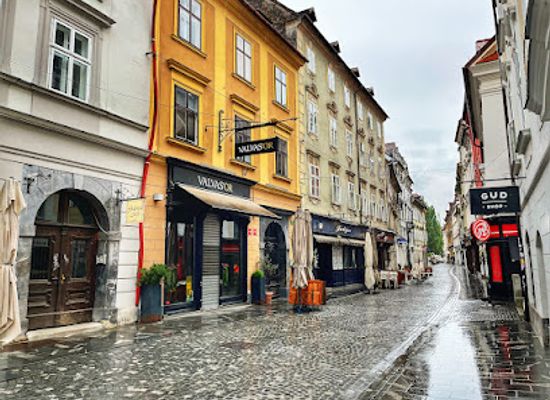 slovenia/ljubljana/restaurant/valvas-or