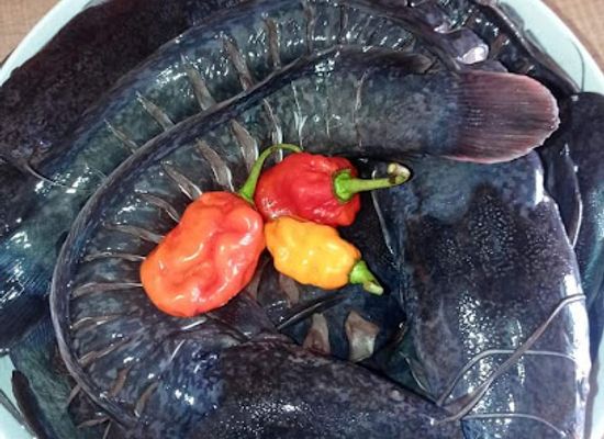 cameroon/kribi/restaurant/les-saveurs-d-edith