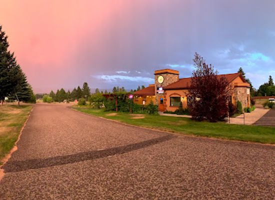 montana/bitterroot-national-forest/restaurant/backyard-tap-house