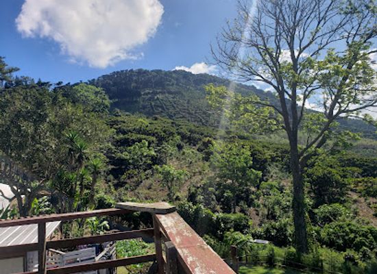 el-salvador/cerro-verde-national-park/restaurant/esta-carbon