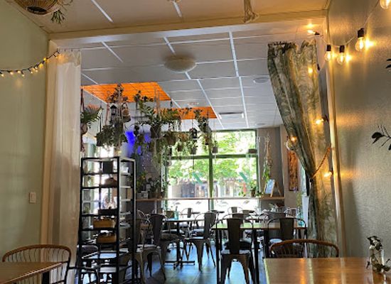 sweden/varmland/restaurant/zest-karlstads-grona-oas