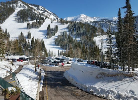 utah/snowbird/restaurant/the-wildflower