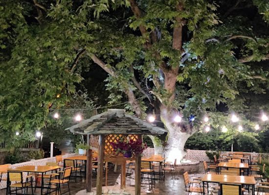 albania/gjirokaster/restaurant/bar-restorant-gjirokaster-rrapi
