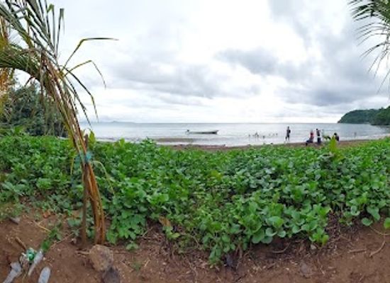 mayotte/mtsamboro/restaurant/restaurant-le-rafla-mtsangamouji
