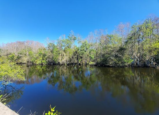 florida/big-cypress-national-preserve/restaurant/h-p-williams-roadside-park