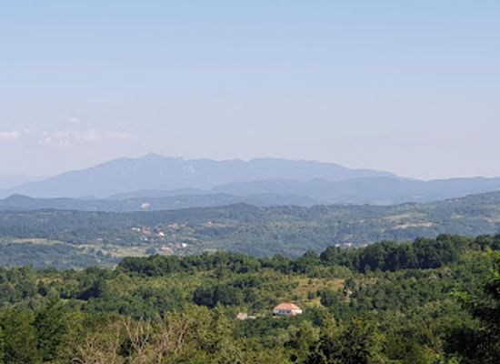 romania/arges/restaurant/mici-la-dedulesti
