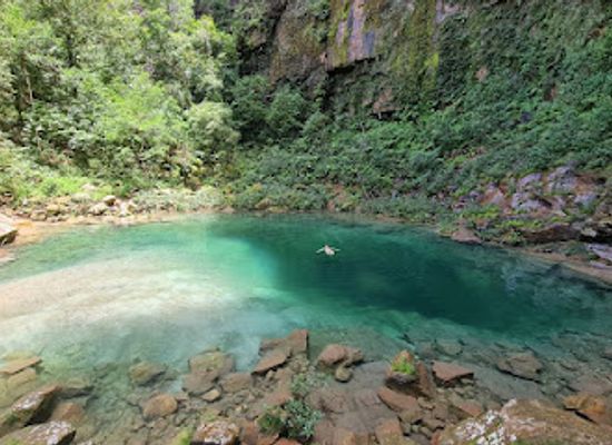 brazil/serra-do-roncador/restaurant/santuario-das-araras