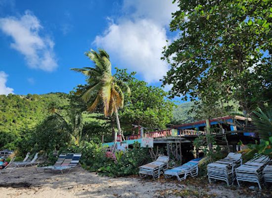 british-virgin-islands/tortola-beaches/restaurant/nicoles-beach-bar