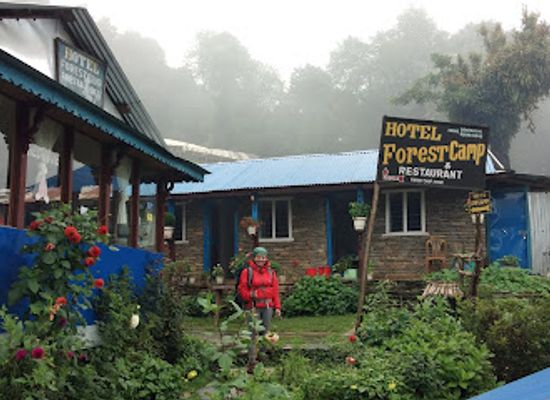 nepal/poon-hill/restaurant/hotel-forest-camp-restaurant