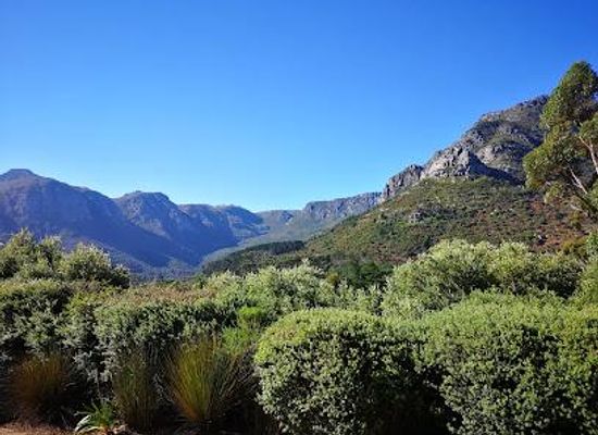 south-africa/cape-town/restaurant/silvermist-organic-wine-estate