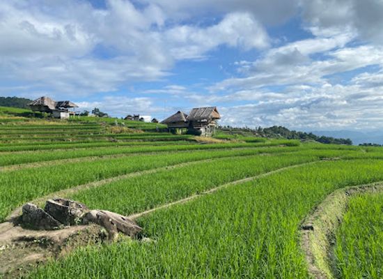 thailand/doi-inthanon/restaurant/restaurant-pa-pong-piang