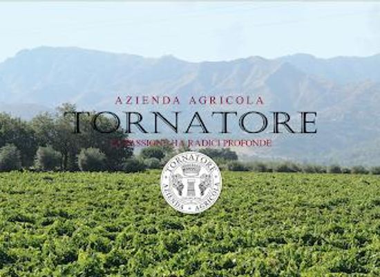italy/sicily/restaurant/cantine-tornatore