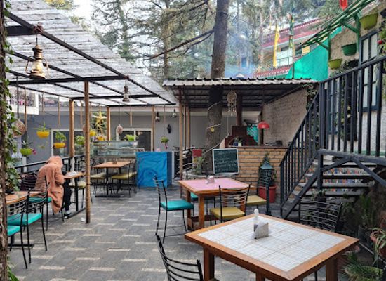 india/mcleodganj/restaurant/jimmy-s-asian-kitchen-mcleodganj