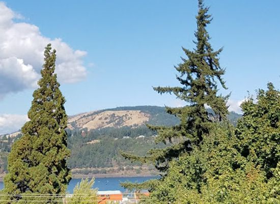 oregon/mount-hood-national-forest/restaurant/bette-s-place