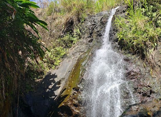 saint-vincent-and-the-grenadines/dark-view-falls/restaurant/saint-vincent