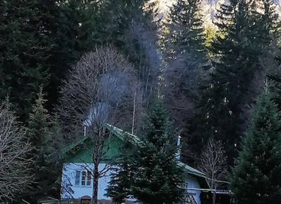 bulgaria/rila-mountain/restaurant/b-b-with-a-diner