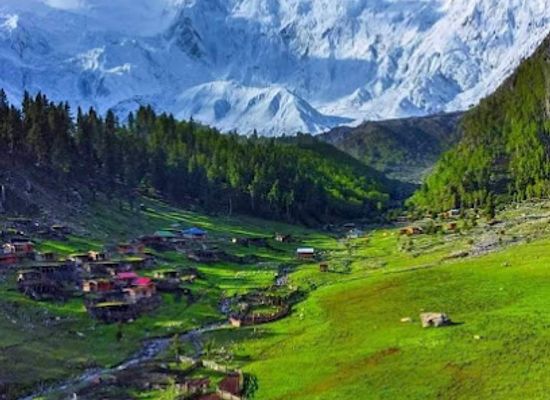 pakistan/phandar-valley/restaurant/shahi-dewan