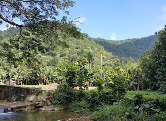 trinidad-and-tobago/edith-falls/restaurant/cafe-mariposa-gardens