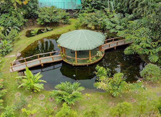 costa-rica/arenal-volcano-area/restaurant/la-finquita-from-farm-to-table