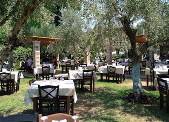 greece/peloponnese/restaurant/taverna-the-garden