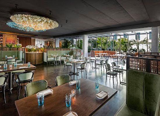 florida/tampa/restaurant/flor-fina