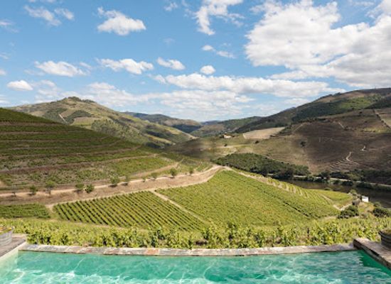 portugal/douro-valley/restaurant/terracu-s-restaurant
