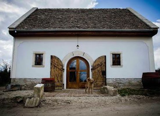 hungary/budapest/restaurant/etyekm-winery-restaurant