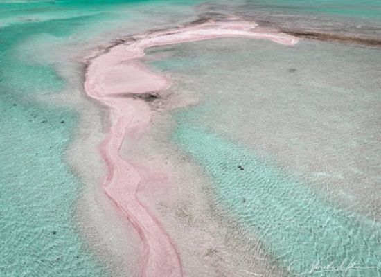 french-polynesia/rangiroa/restaurant/rangiroa-activities