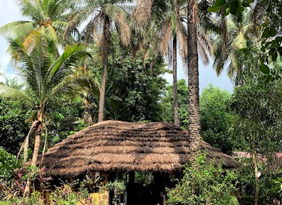 guinea/mount-kakoulima/restaurant/restaurant-chez-claude