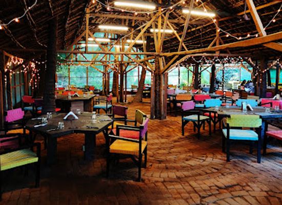 india/chennai/restaurant/the-farm-restaurant