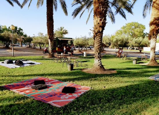 israel/arava/restaurant/falafel-arava