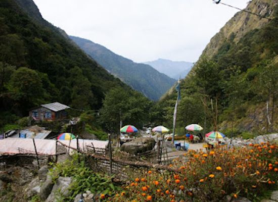 nepal/langtang-valley/restaurant/bamboo-tibet-hotel
