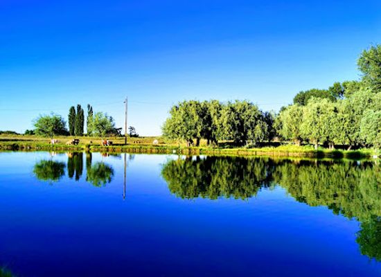 serbia/backa/restaurant/majkin-salas
