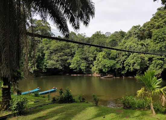 brunei/belalong-canopy-walkway/restaurant/freme-rainforest-lodge