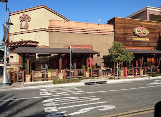 california/temecula/restaurant/lazy-dog-restaurant-bar