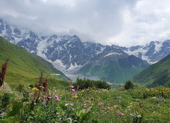 georgia/racha-lechkhumi-and-kvemo-svaneti/restaurant/shkhara-glacier-restaurant