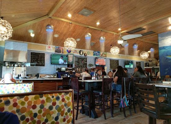virginia/williamsburg/restaurant/fat-tuna-grill-oyster-house